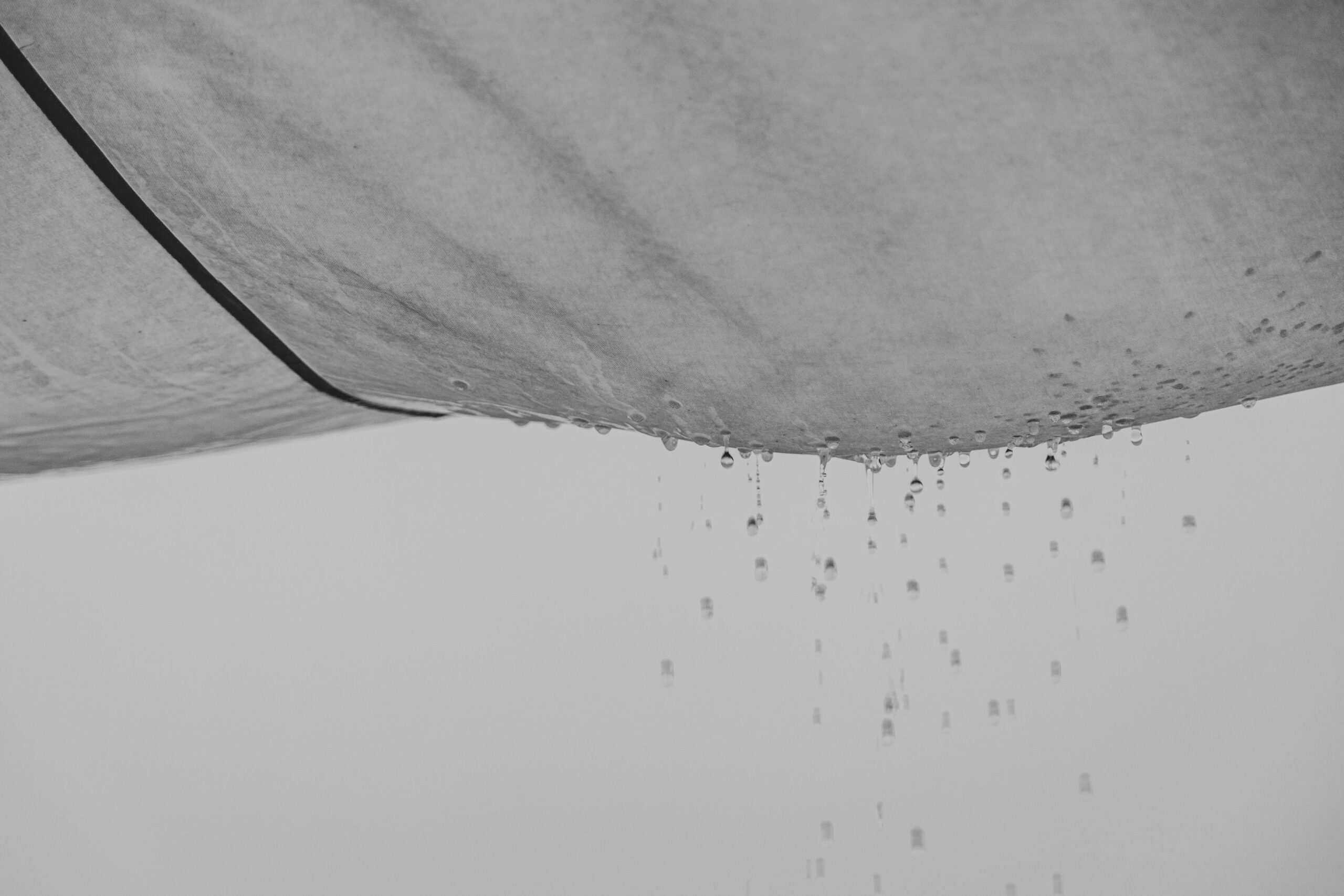 Major Data Leak Impacts Asian Companies And Individuals - 4dapjzr